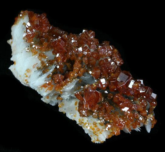 Shiny Red Vanadinite Crystals - Morocco #32332
